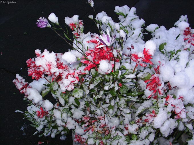 2003-10-24 17-35-11.jpg